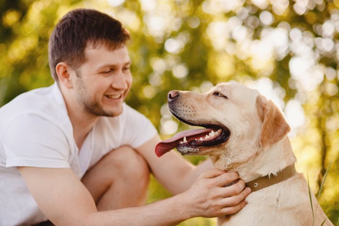 しゃがんで触れ合う人と犬