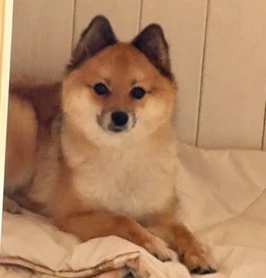 なにか？