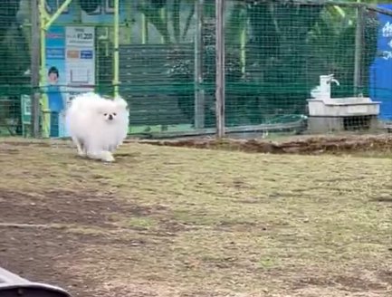 見つけた
