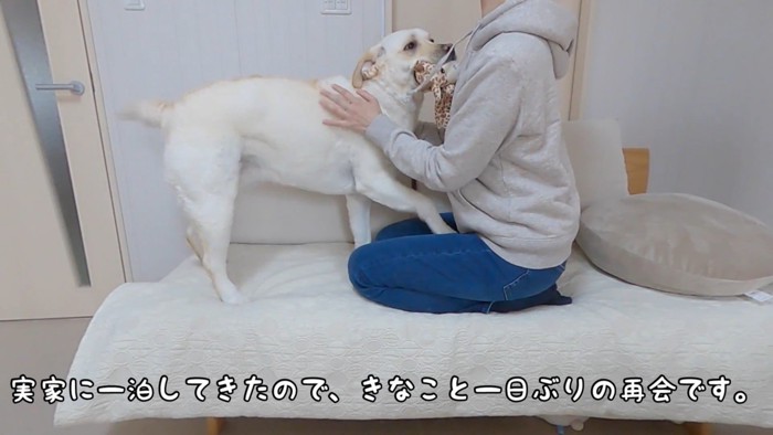 きなこちゃんとママさんの再会