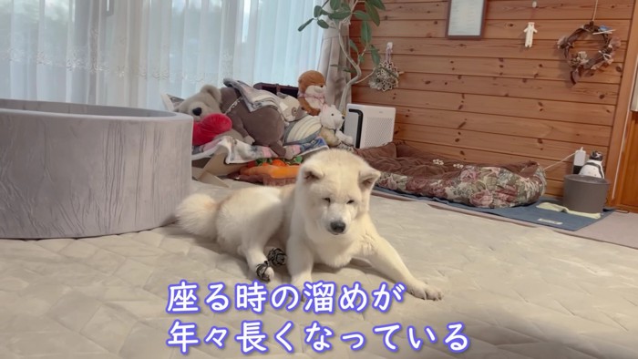 ちょっぴりひとやすみ