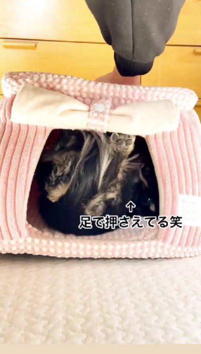 両脚で出入口をガード