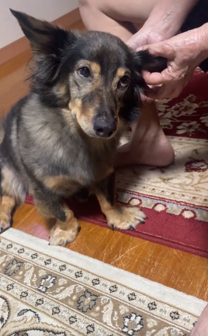 白目になり始めるマックくん