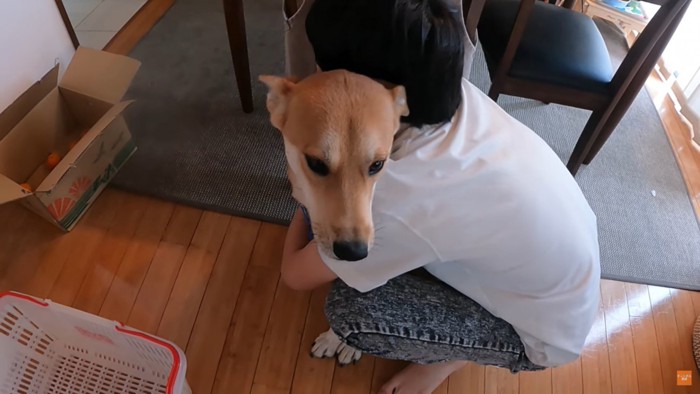 犬を抱く少年