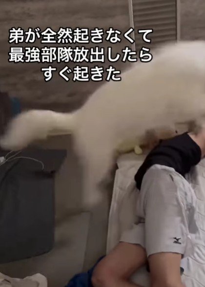 豪快な特大ジャンプ！