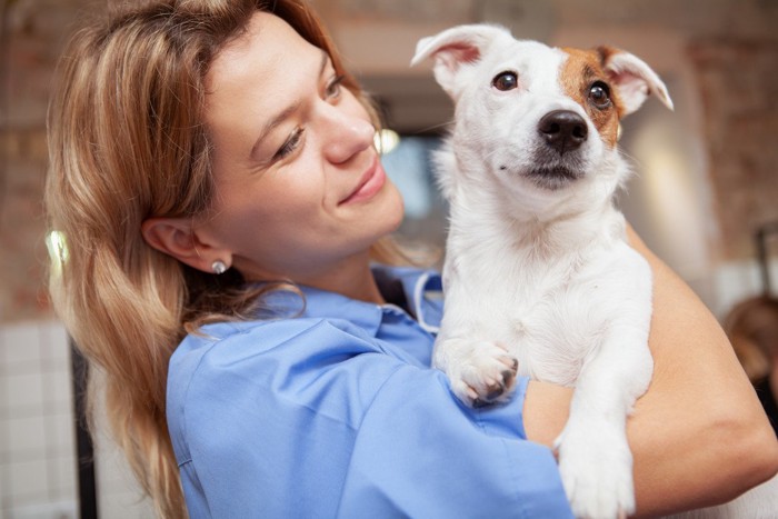 女性に抱っこされている犬