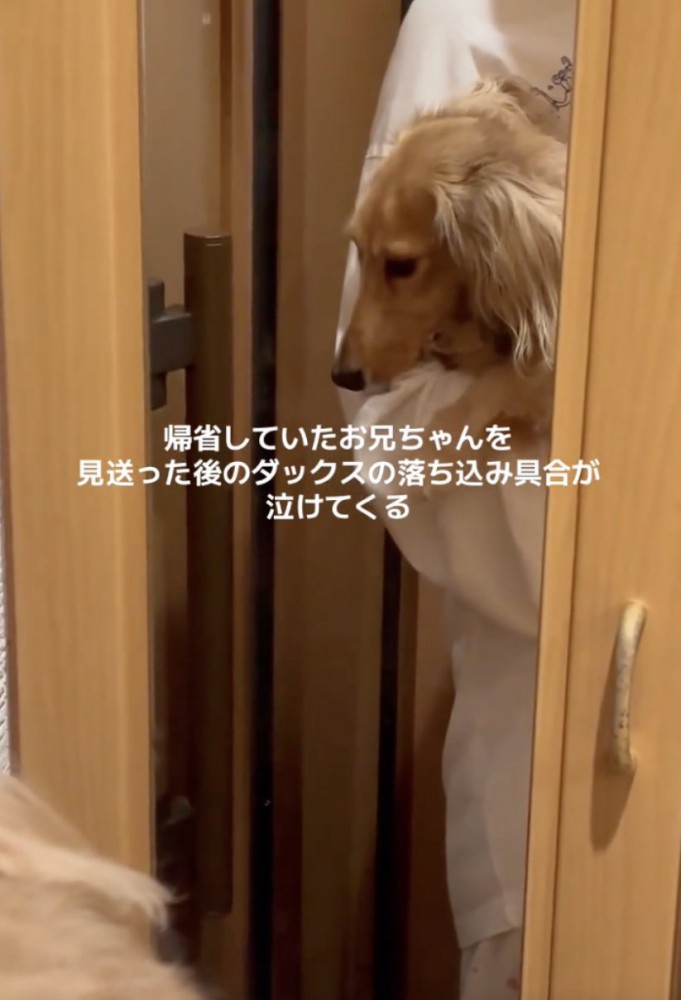 健気すぎます…!