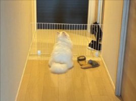 後ろ姿