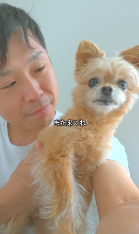 祖父母がお家に来た時のあのちゃん⑩