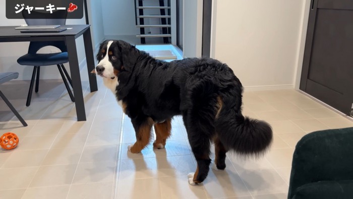 まさかのフリーズ！