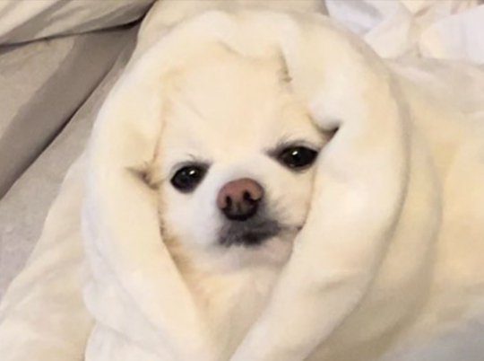 赤ちゃん