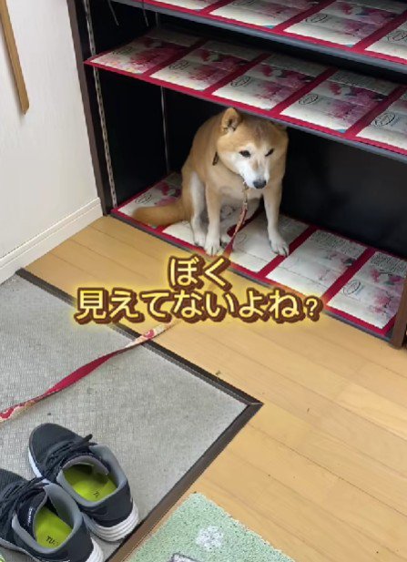 ロッカーの中!!