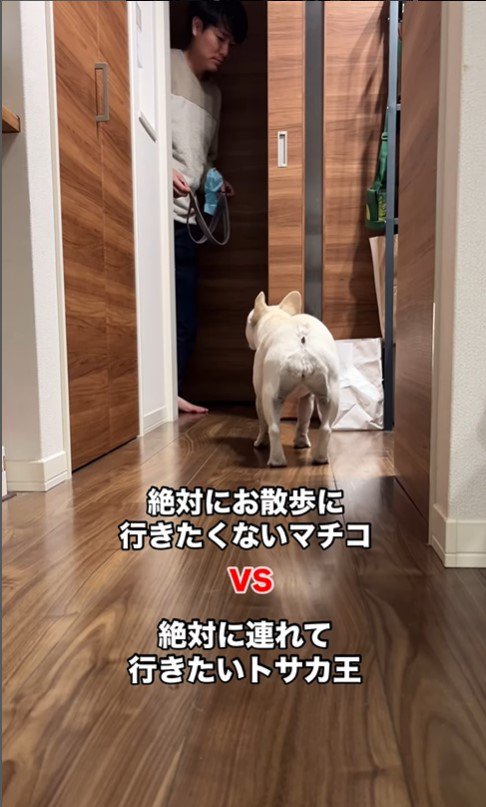 散歩に連れて行きたいお父さんVSマルちゃん