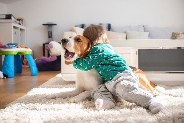 子供と犬