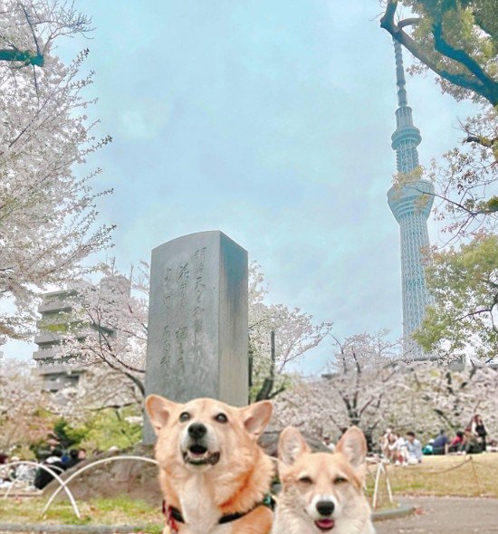 スカイツリーをバックに記念撮影