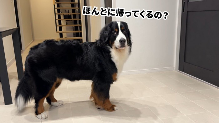 ソワソワしながら待機
