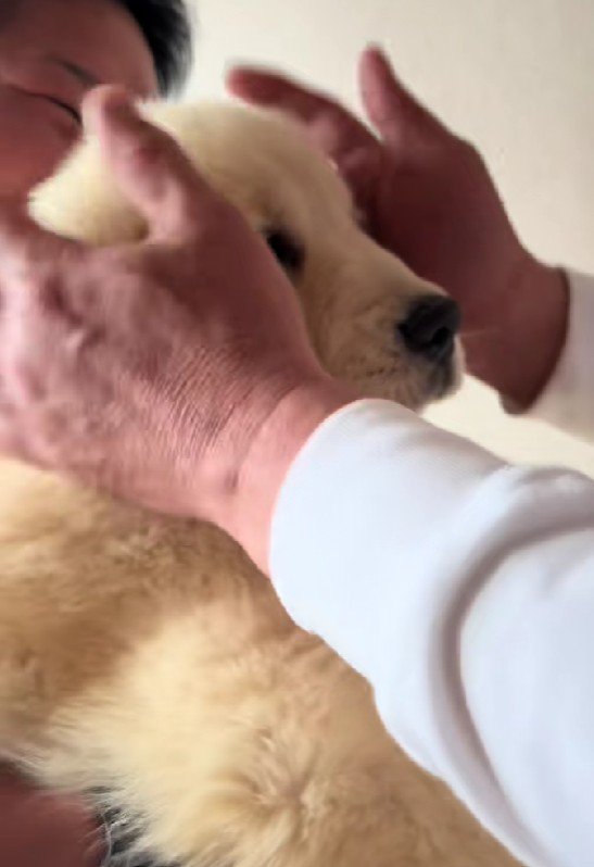 温かい手に包まれて…