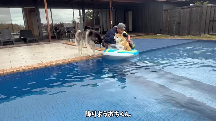 「まだだよ」