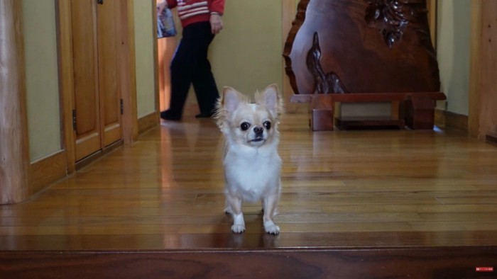 ご家族が後ろを通ると…