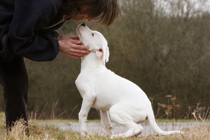 女性と白い犬