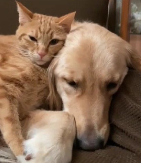 これからも仲良くね！