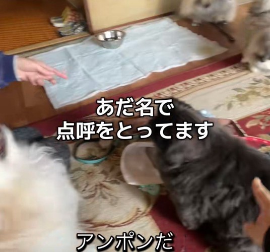 あだ名を呼んで点呼