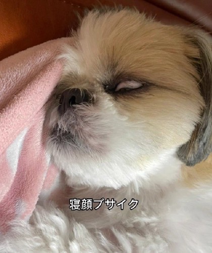 寝顔もスゴイ…！