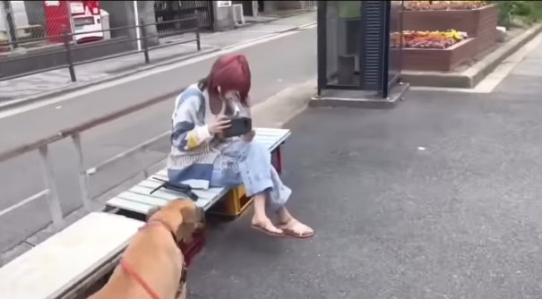 ベンチに座ってグレートデンを撮影する飼い主