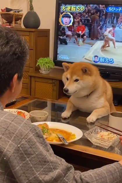 パパの夕飯時は…