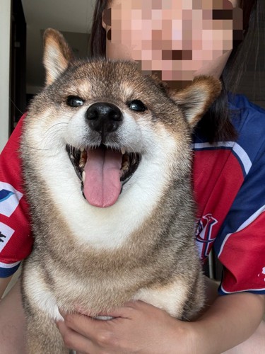 普段
