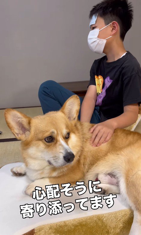 お兄ちゃんを心配しているお顔