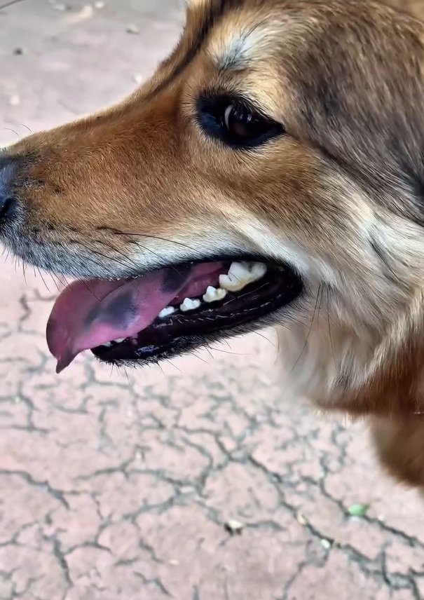 写真横顔のラッキーくん