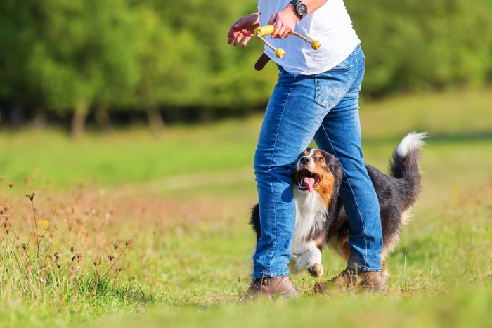 人の足の間をくぐる犬