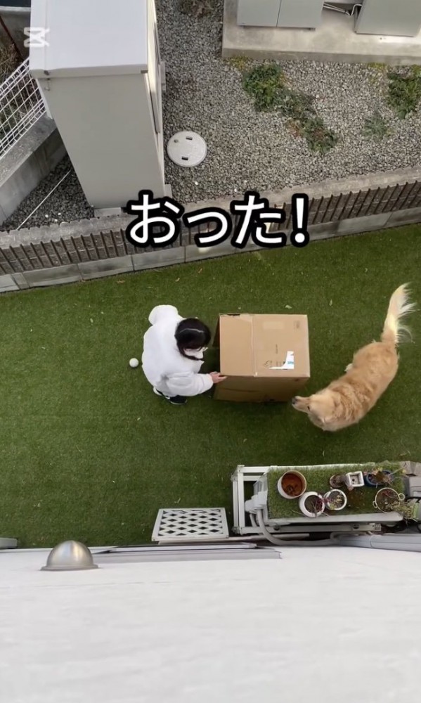 再会