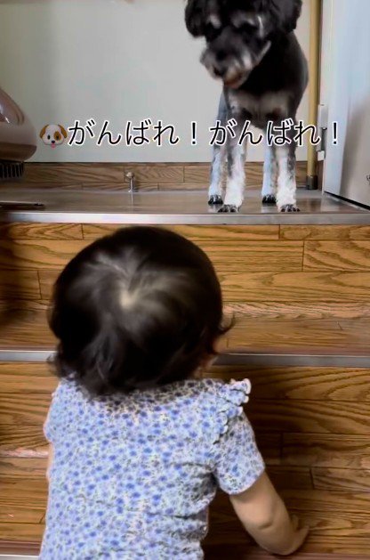 がんばれ！がんばれ！