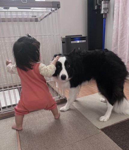 立ってますよ