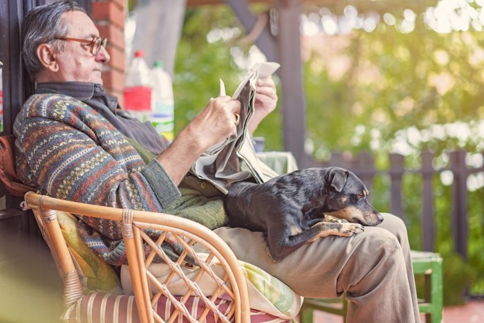 男性の膝の上でくつろぐ犬