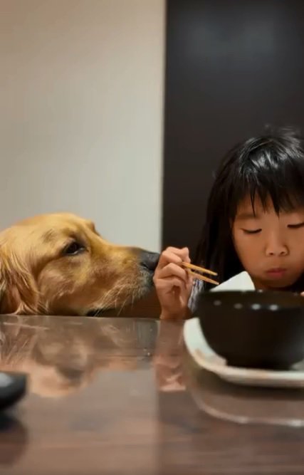 次女ちゃんのご飯を狙うシンバくん