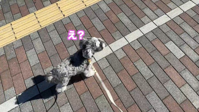 病院が近づくと立ち止まりました