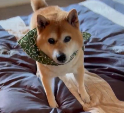 抱っこ