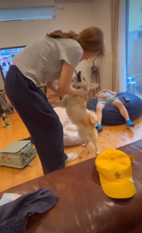 お母さんと遊ぶ犬3