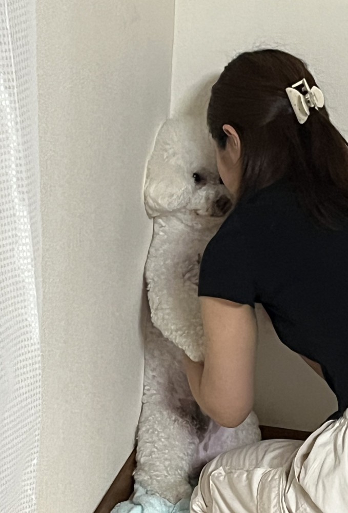 詰められてる