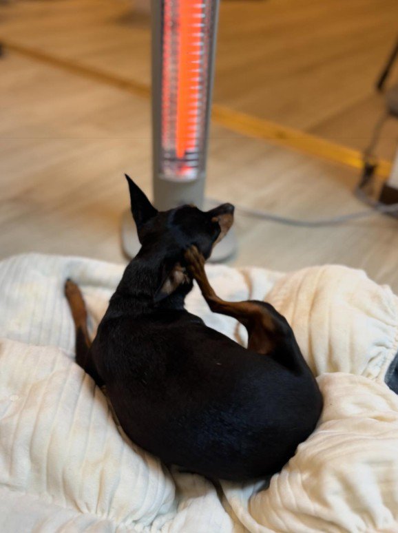 寒い日はちょっぴり苦手