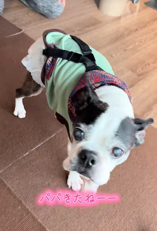 幸せそうなお顔♡