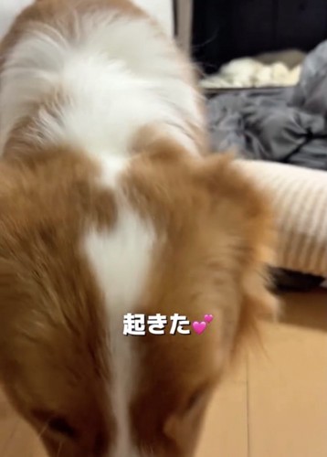 ママに「パパ起きたよ」の報告中
