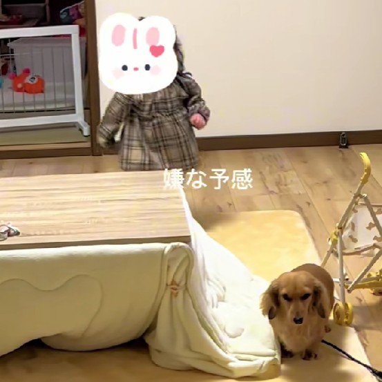 なんとなく嫌な予感…