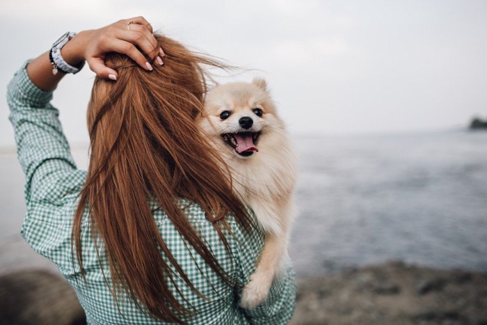 女性に抱っこされる笑顔の犬