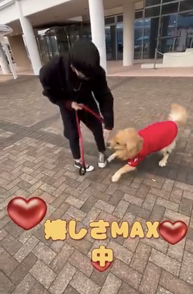 男性の足元ではしゃぐ犬