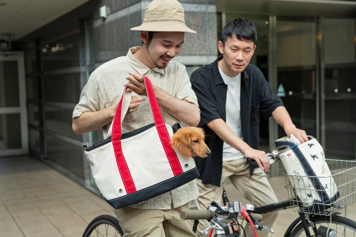 共用エリアはバッグ内にいる犬