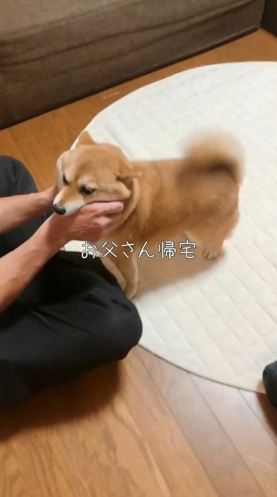 男性の手に口を近づける犬